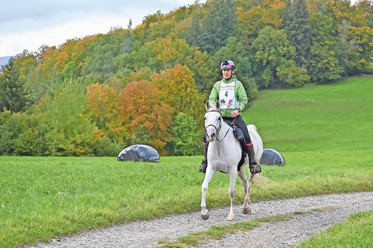 La_Reitsport_Silber Stefanie Eichenberger | Der Landanzeiger